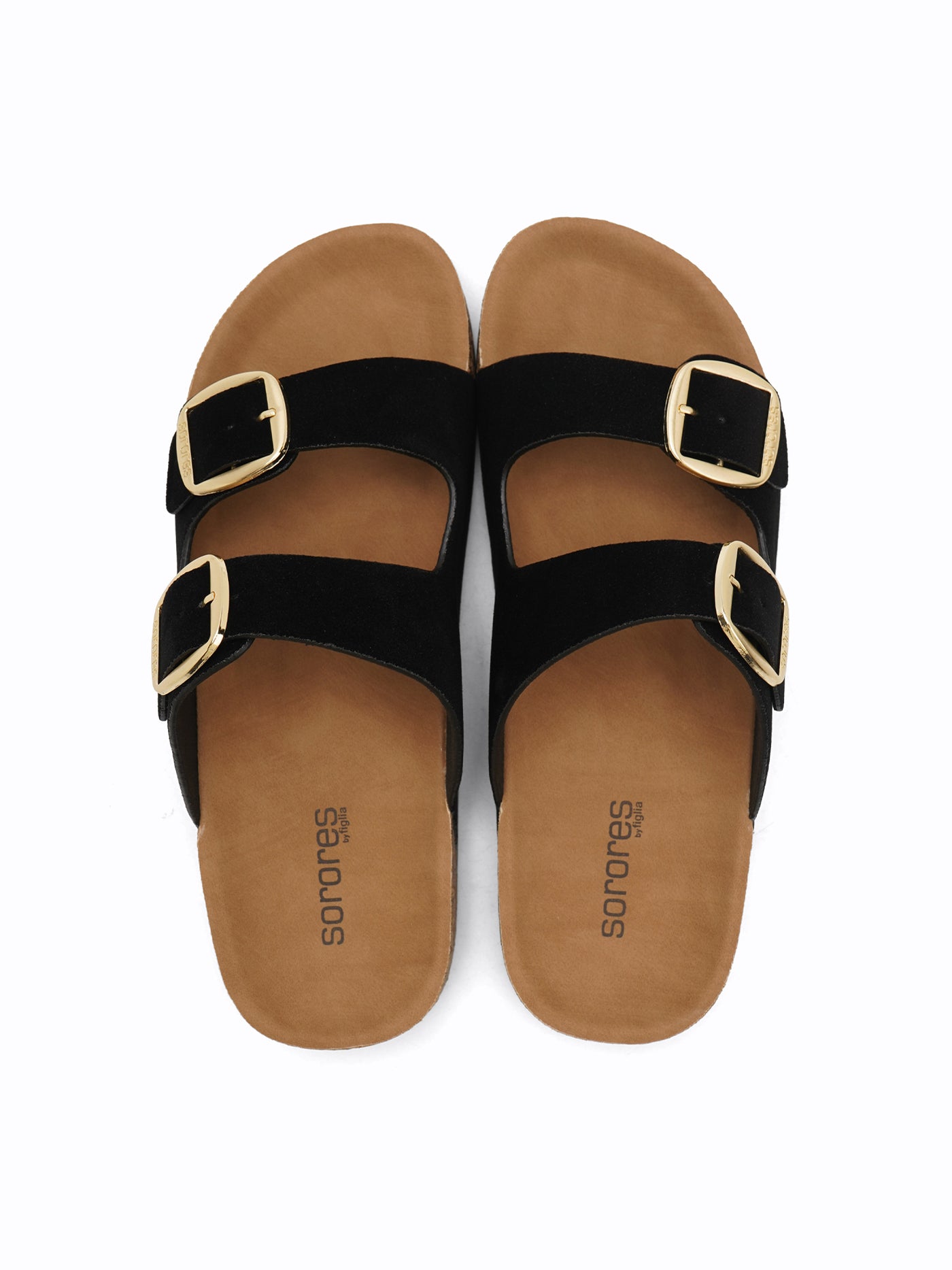 Angelou Easy Slides