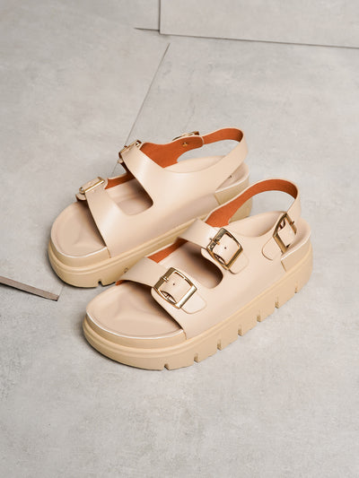 Calista Platform Easy Slides