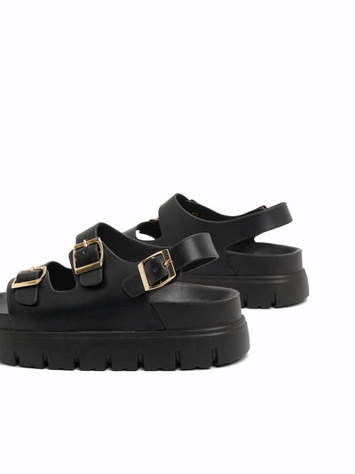 Calista Platform Easy Slides