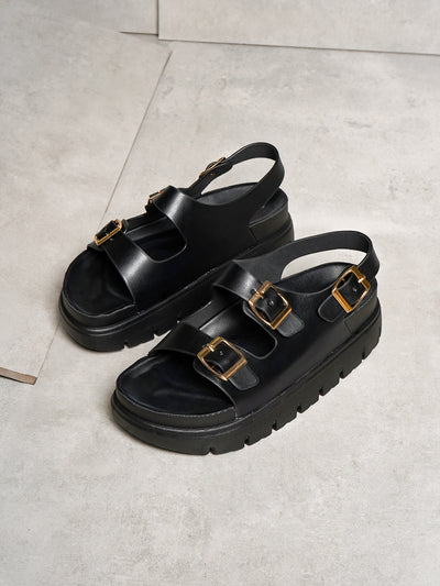 Calista Platform Easy Slides
