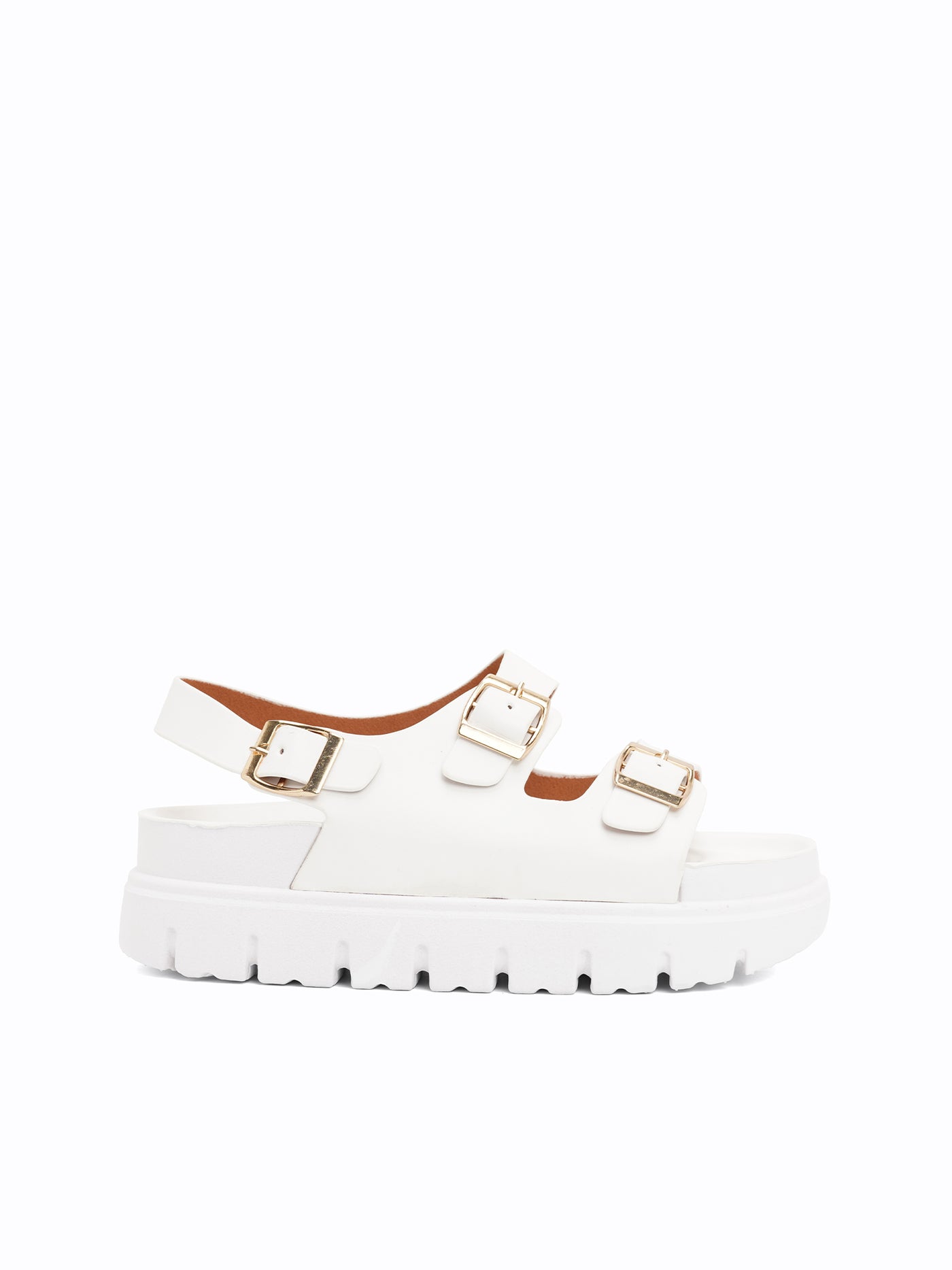 Calista Platform Easy Slides