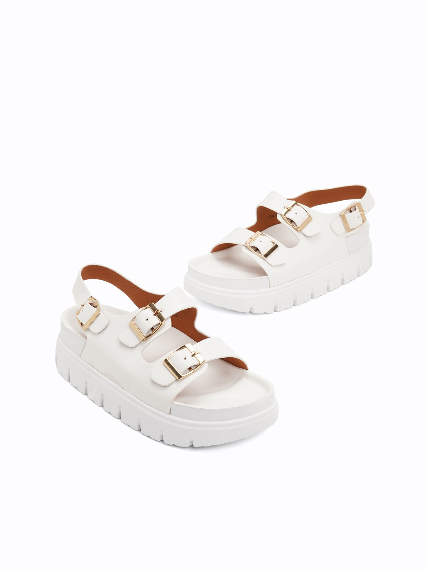 Calista Platform Easy Slides