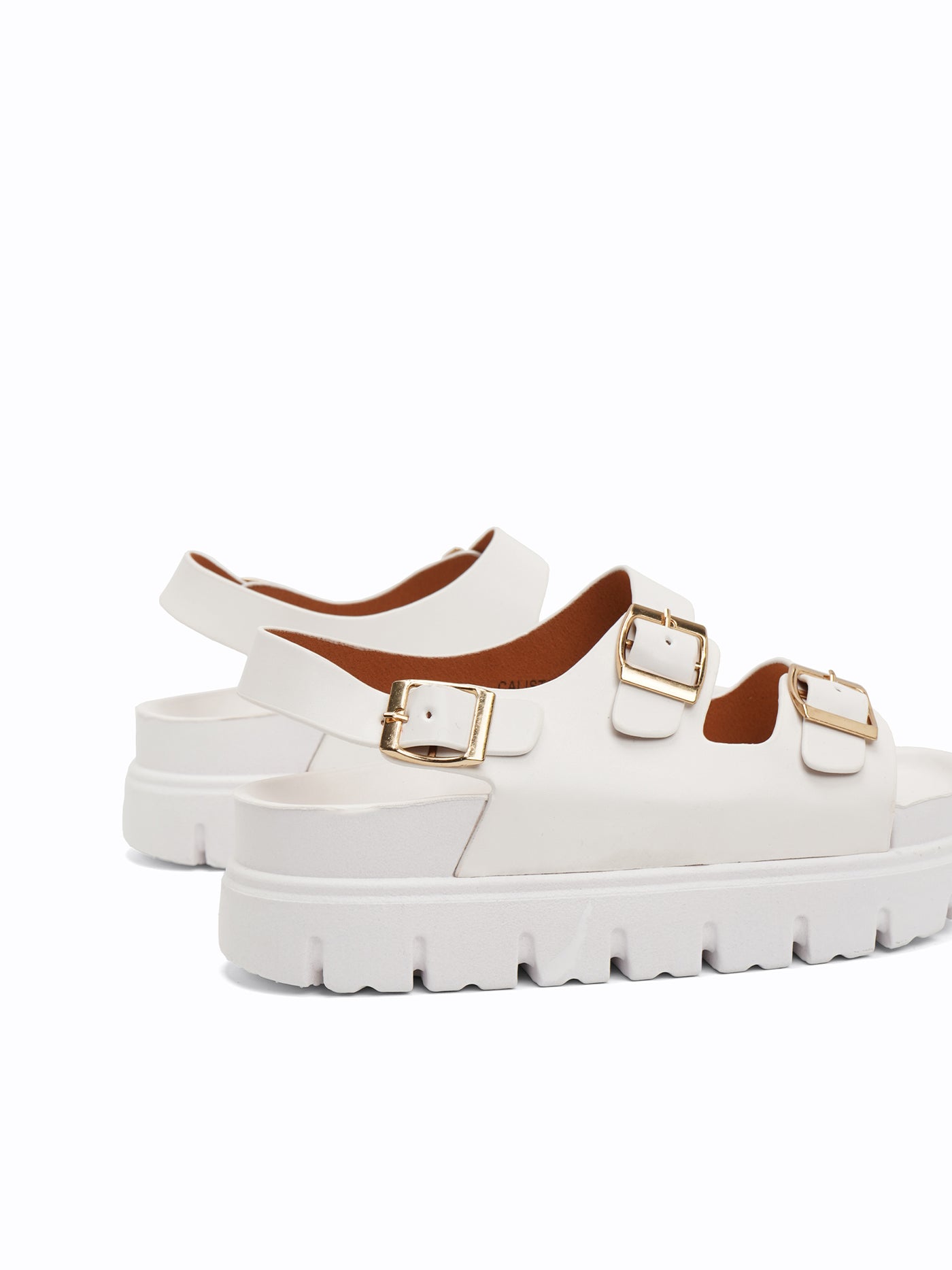 Calista Platform Easy Slides