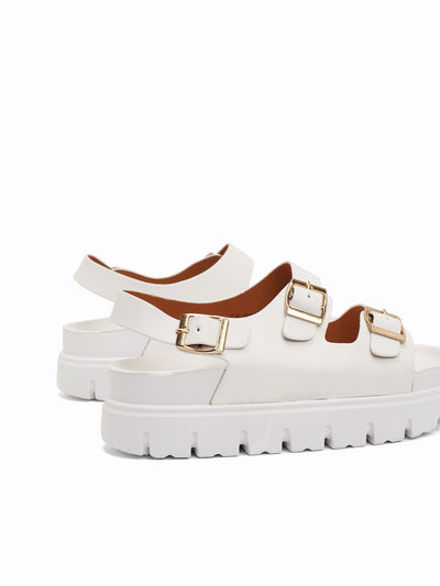 Calista Platform Easy Slides