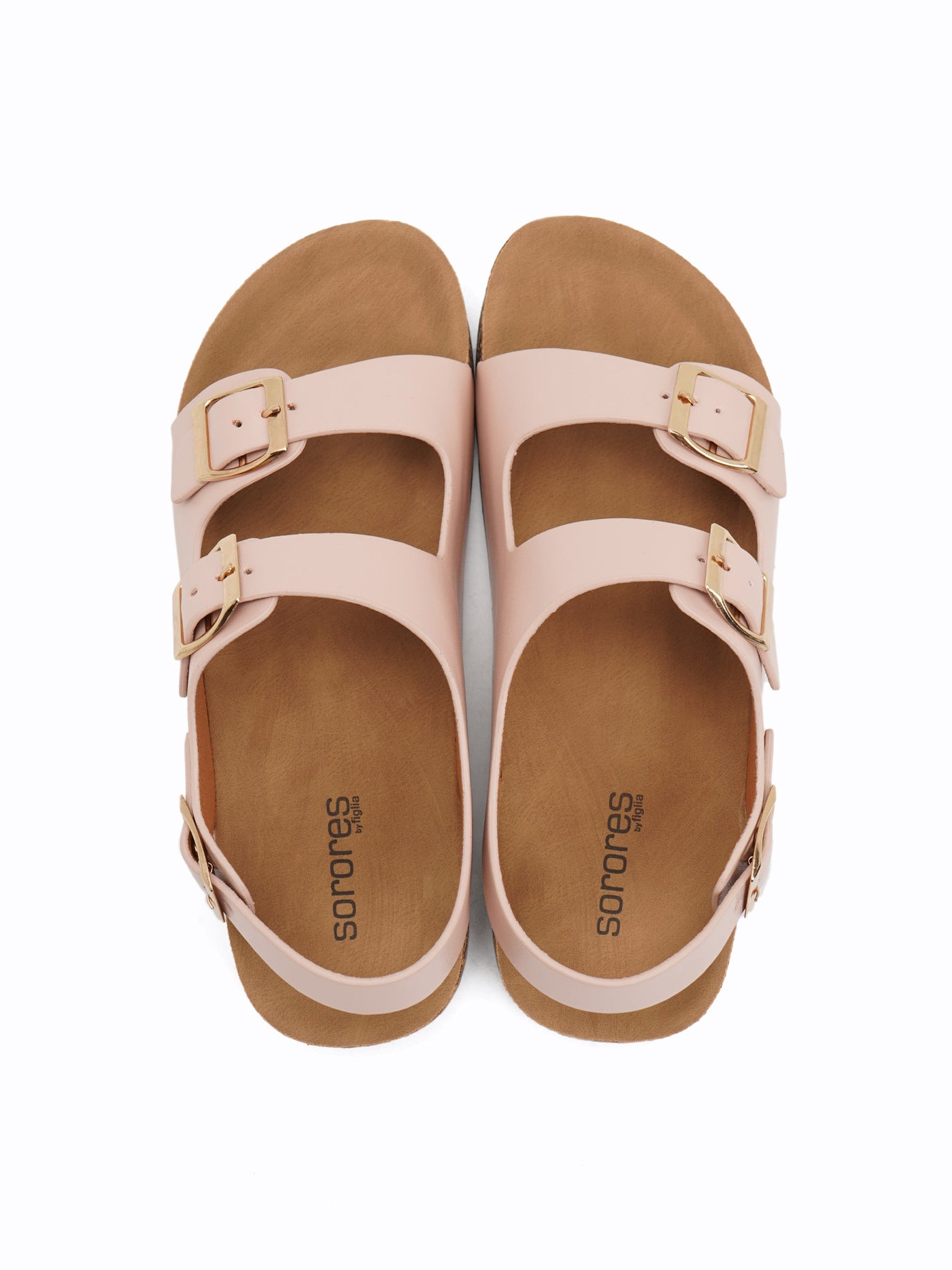 Dandelion Easy Slides