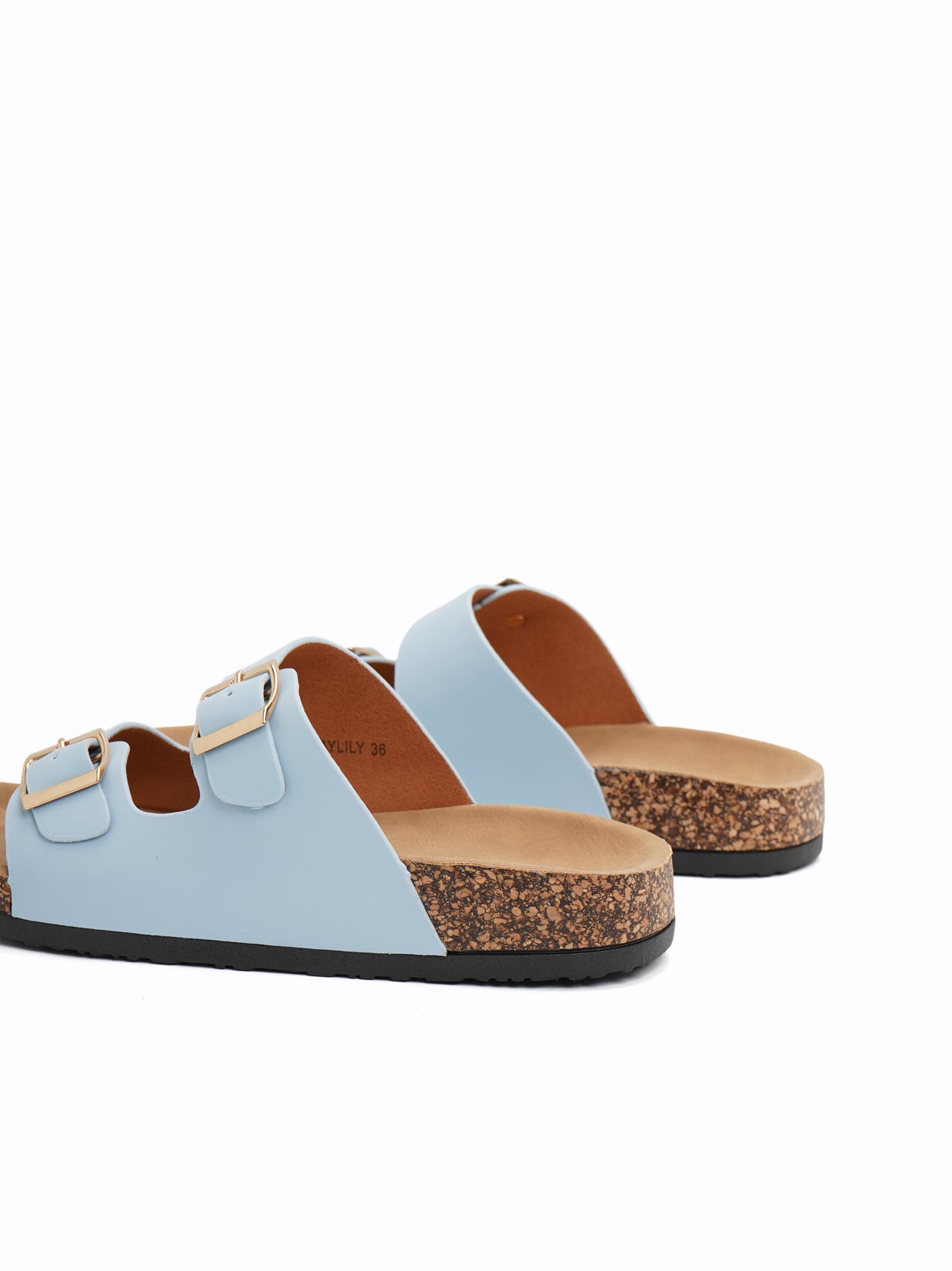 Daylily Easy Slides
