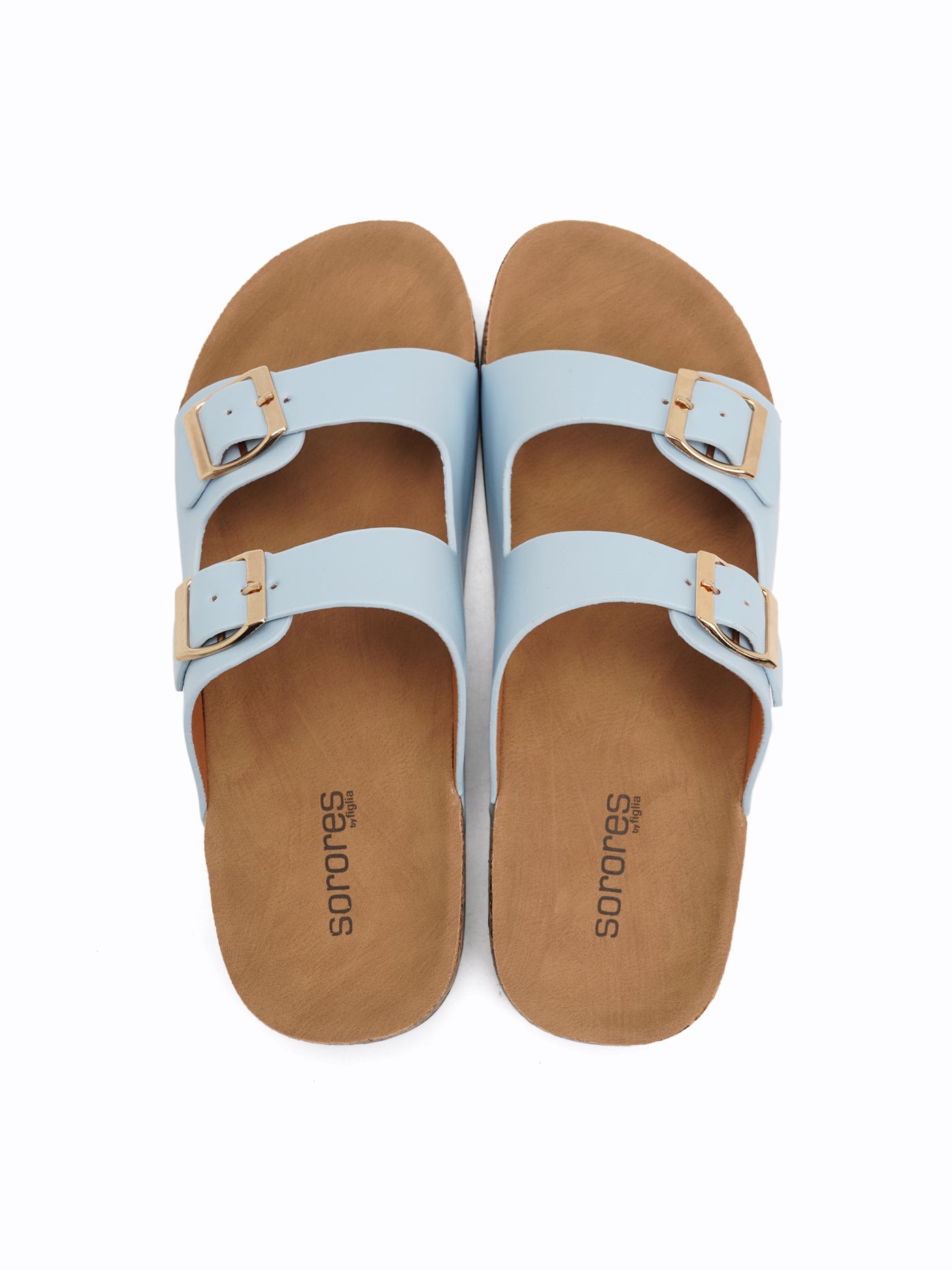 Daylily Easy Slides