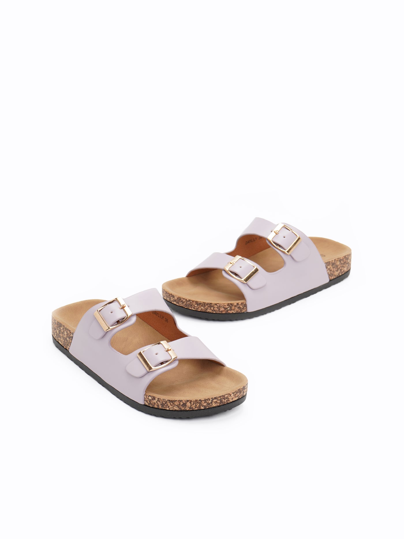 Daylily Easy Slides
