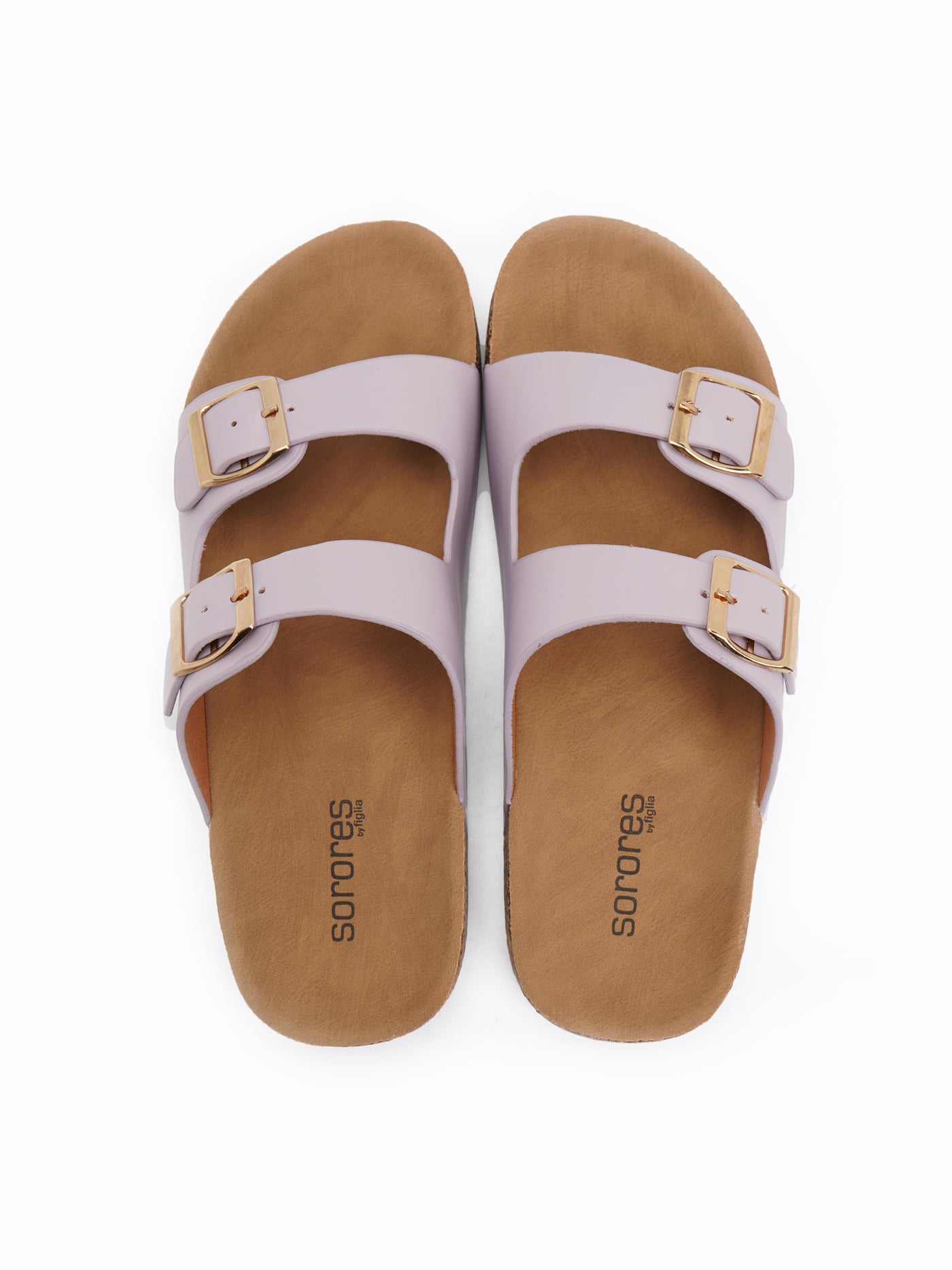 Daylily Easy Slides