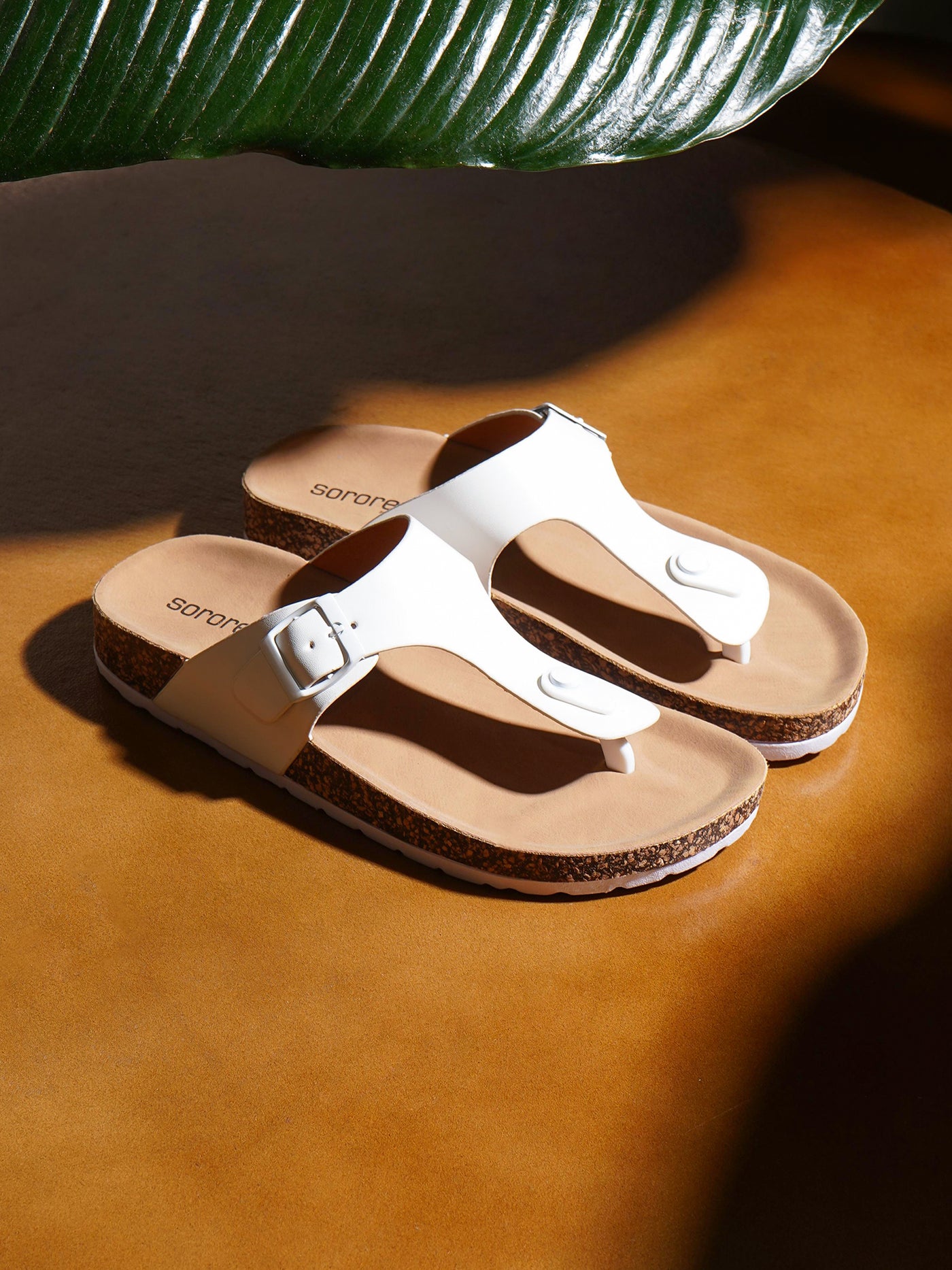 Lory Easy Slides