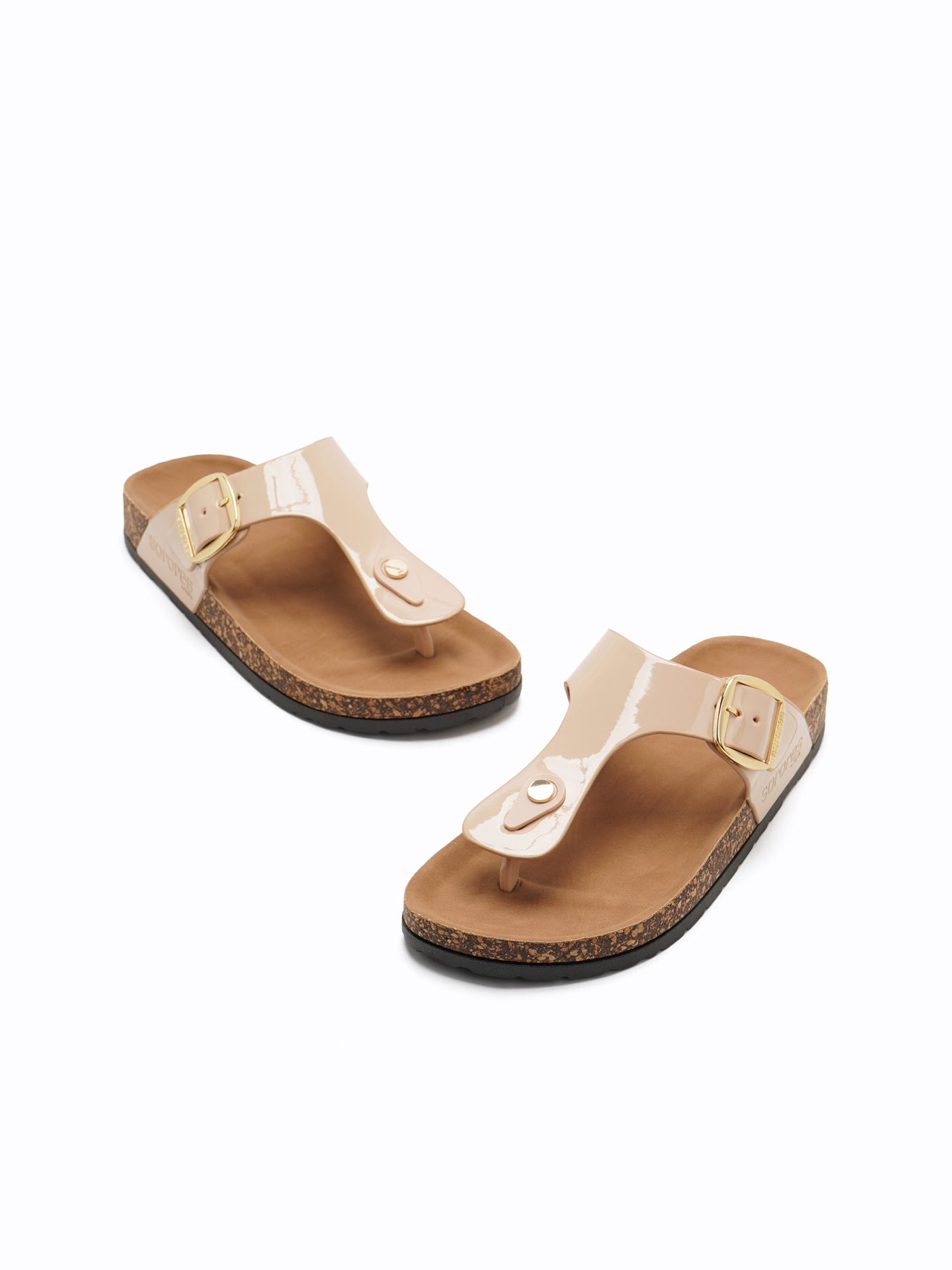 Morrie Easy Slides