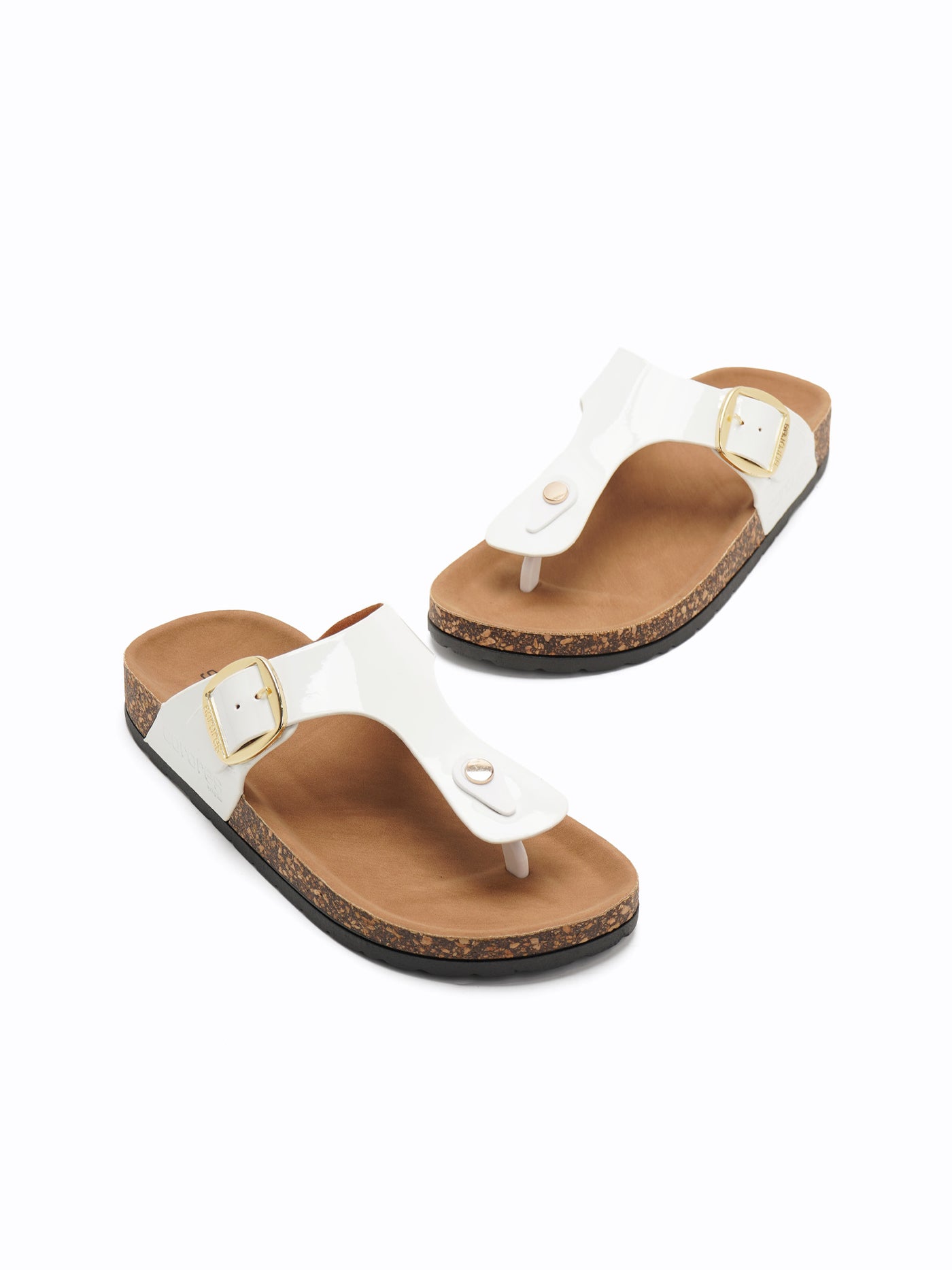 Morrie Easy Slides