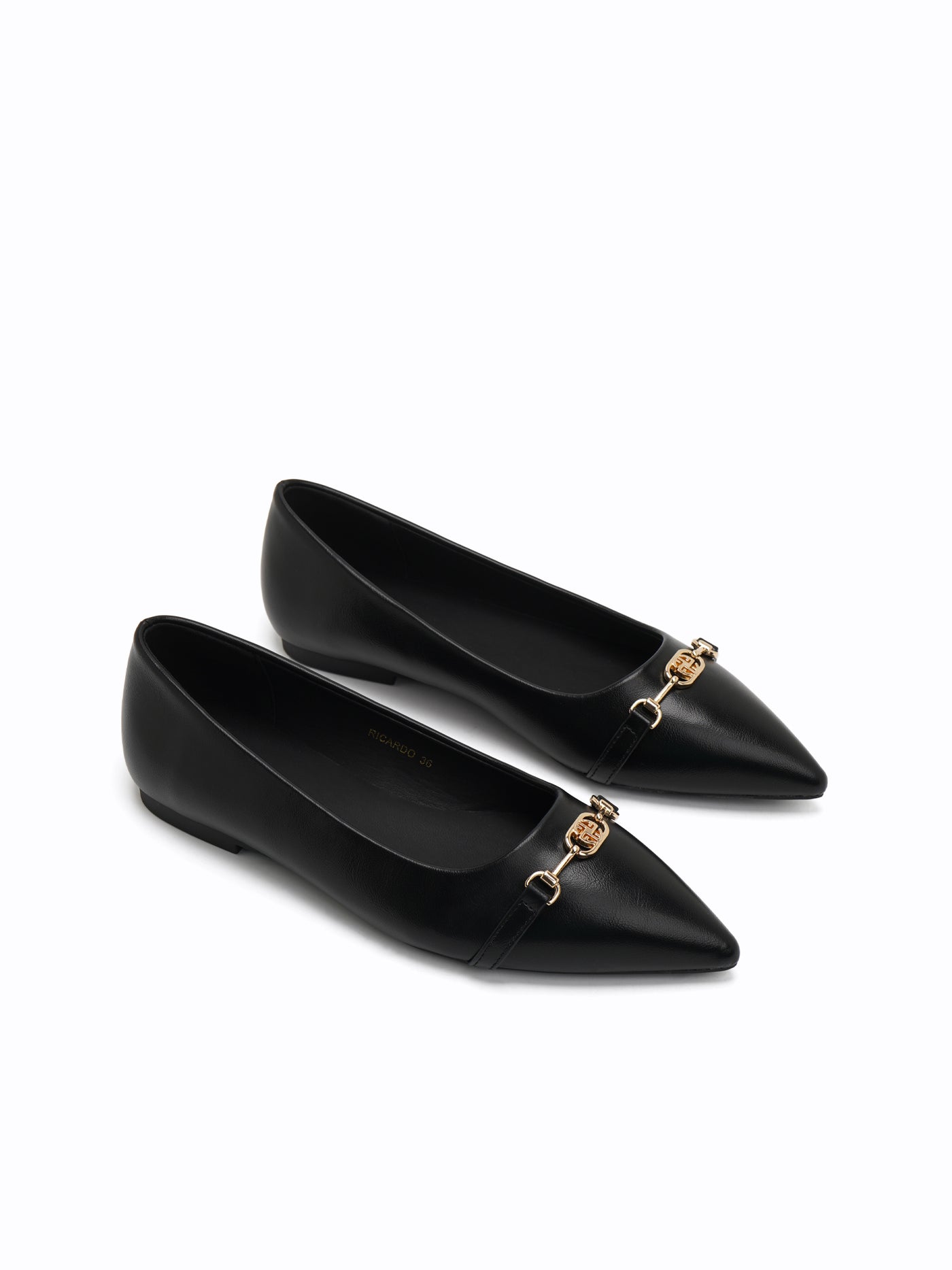 Ricardo Flat Ballerinas